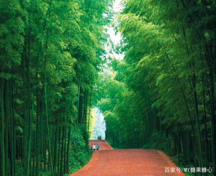 蜀南竹海掉进人间的天堂_百科TA说