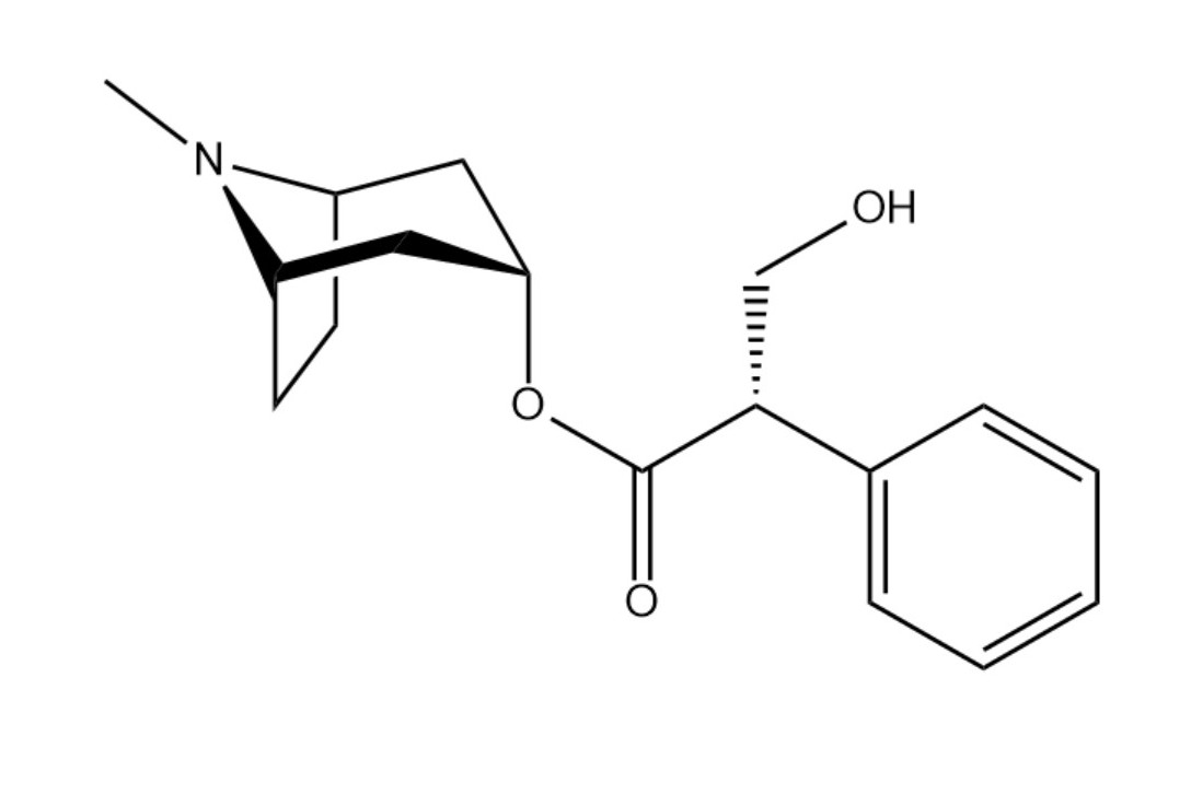 是从中药天仙子,洋金花中分离的颠茄生物碱之一,其结构为由莨菪醇和