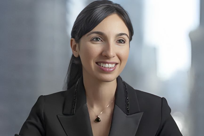 哈菲泽·盖伊·埃尔坎