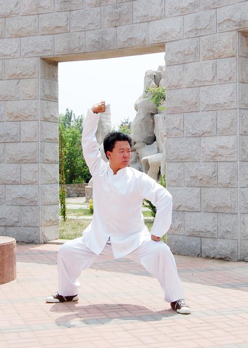  p>燕青拳,又称秘宗拳,颜青拳,弥祖拳,迷踪拳,出自河南嵩山 a target=