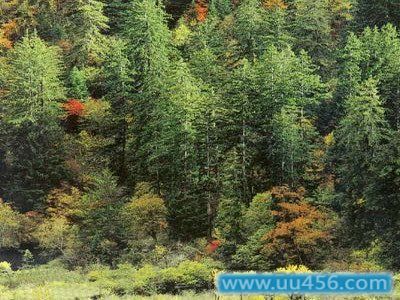 岗乡自然保护区