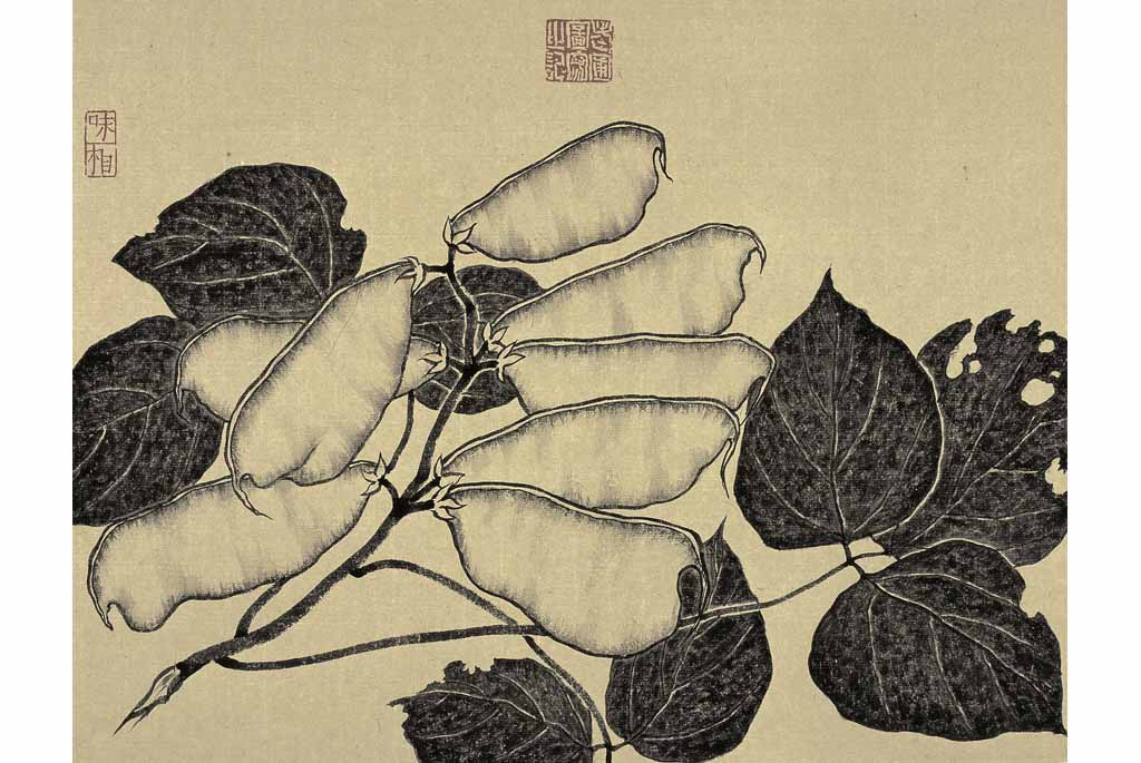  p data-id="gnbtv6t85w">老圃,原名白进海,人称"菜园子老白",画家