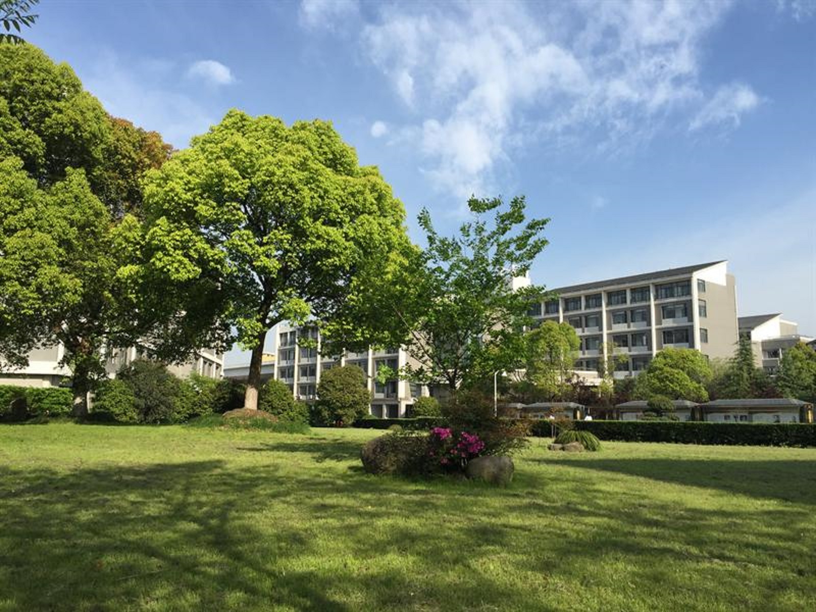 㽭ѵ_㽭ѧԺ㽭ɽȺ뽡_㽭 