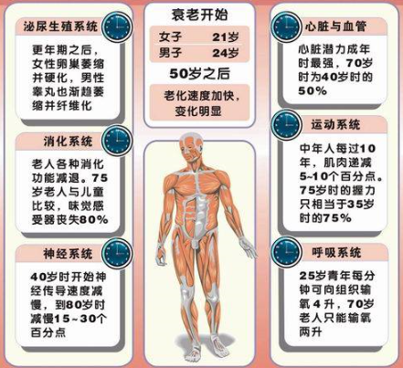 英国研究人员确认了人体一些器官的衰老退化时间,肺活量,大脑从20岁起