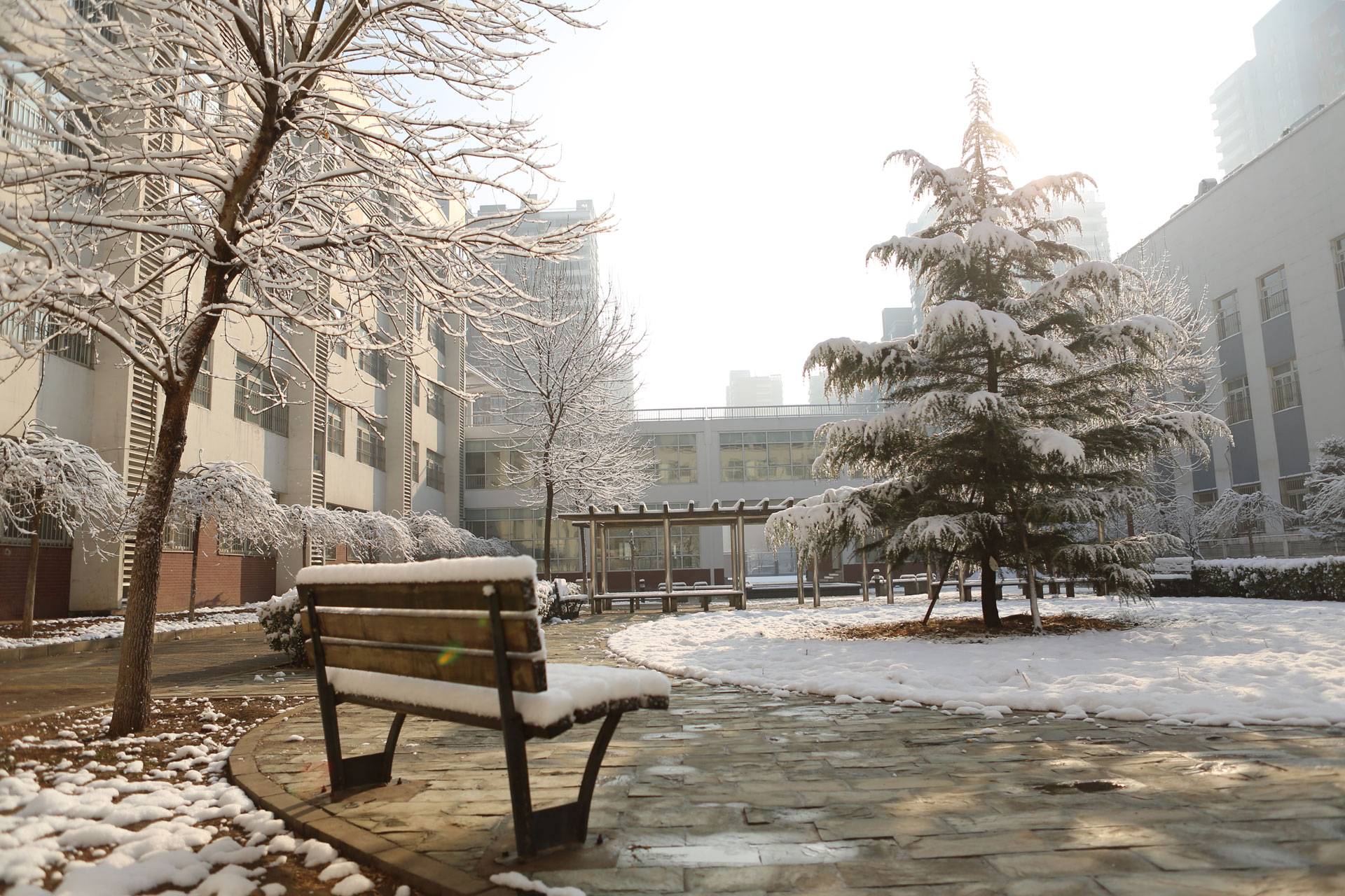  p>景山学校远洋分校于2007年9月建校,地处石景山区 a href="#" data