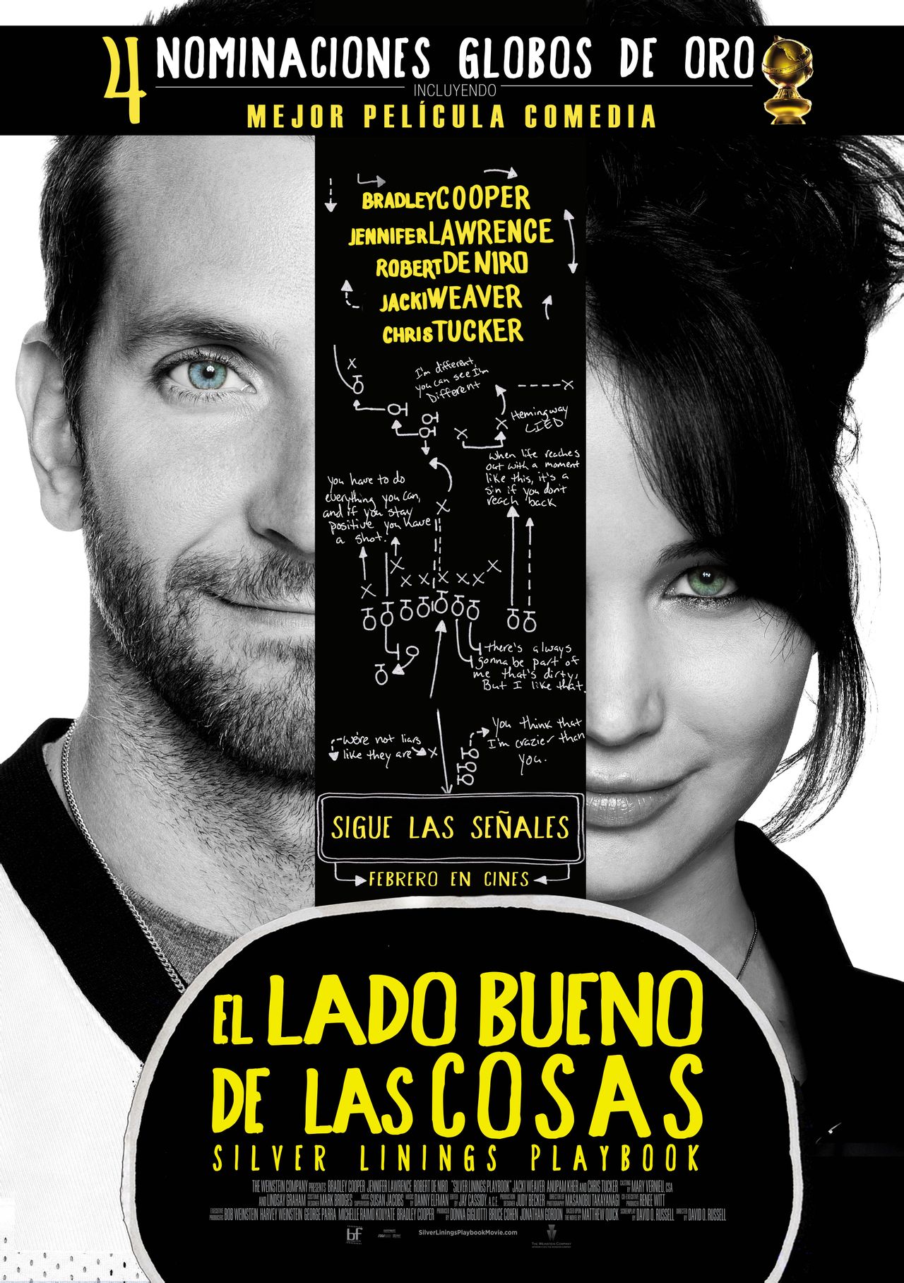 silver linings playbook
