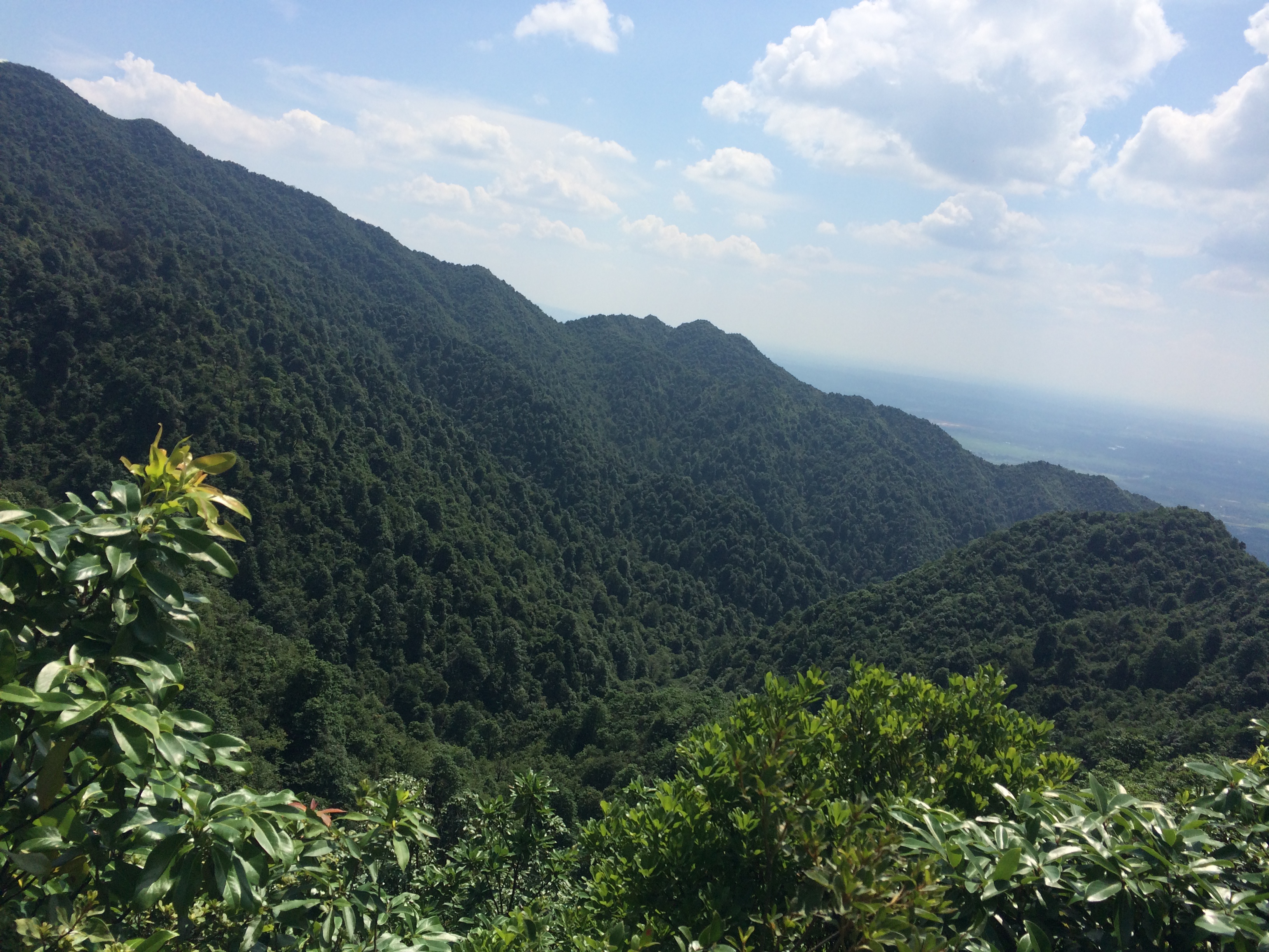 ">紫瑶山,位于江西省 a target="_blank" href="/item/泰和县/83931"