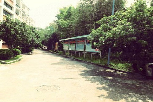 福建顺昌金桥学校