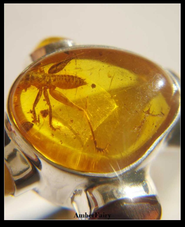  p data-id="gnwnibpsy4">柏吉尔 ( 1804～1882),德国科学家, a