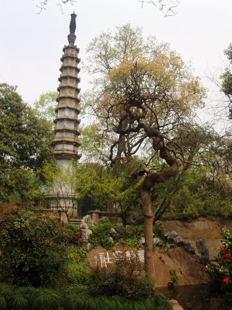 孤山景区