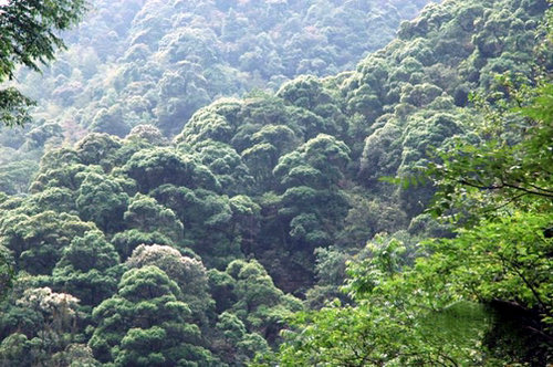 马头山国家级自然保护区