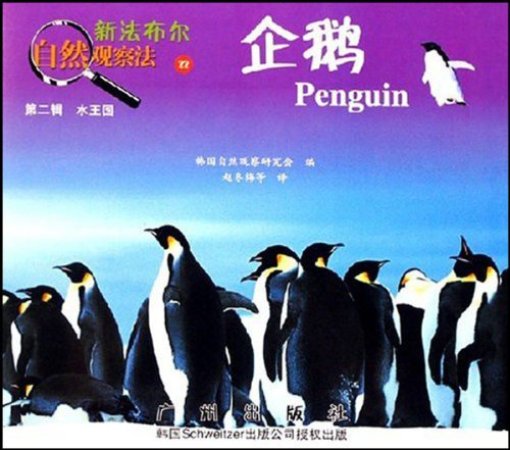 新法布尔自然观察法22:企鹅