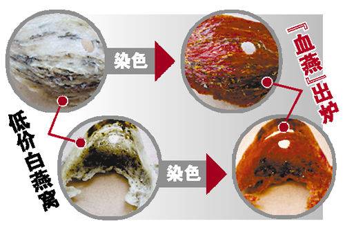 染色血燕_百度百科