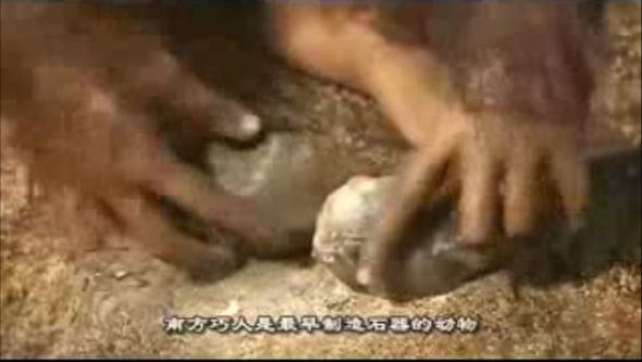 与远古人同行walkingwithcavemen(2003)