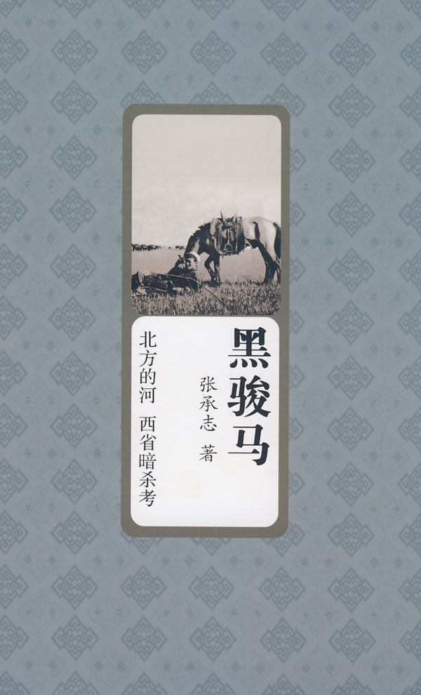 《黑骏马》是当代作家 a target="_blank" href="/item/张承志/6939"