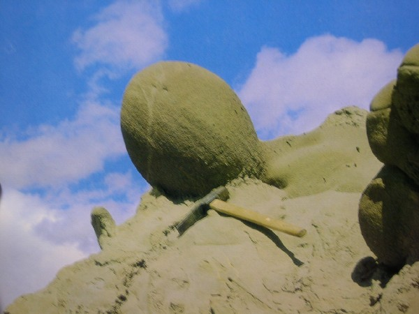 风蚀残留菱铁矿结核