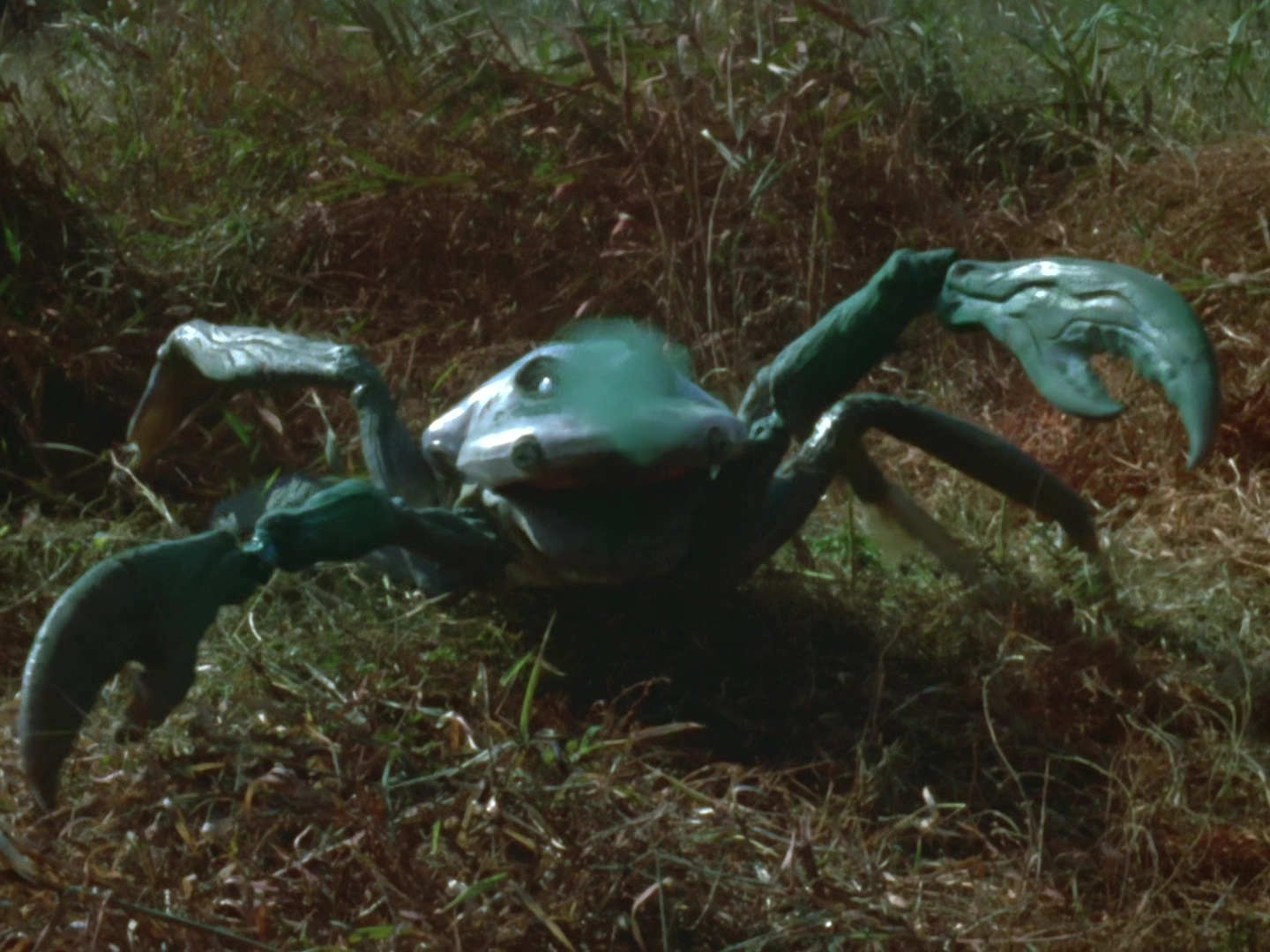 宇宙蜘蛛古蒙加