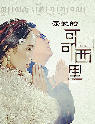 亲爱的可可西里