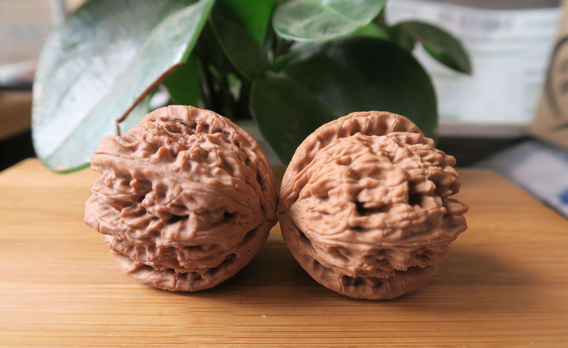  p>涞水麻核桃(野三坡麻核桃),河北省 a href="#" data-lemmaid="