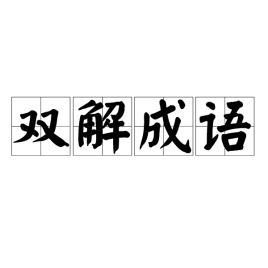 双解成语