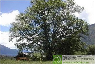 岗乡自然保护区