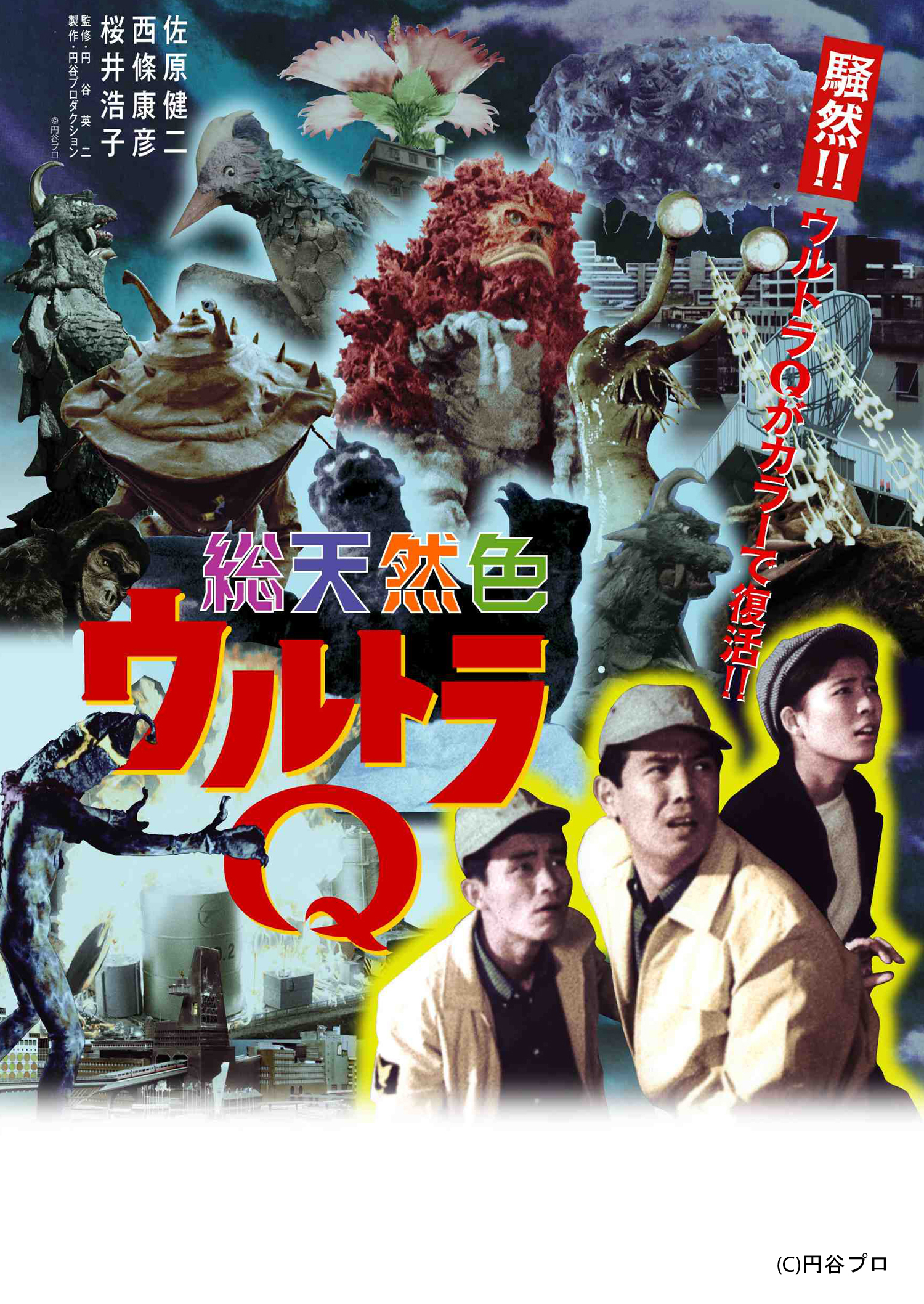 >日本 /b> b> a target="_blank" href="/item/圆谷株式会社/3207422"