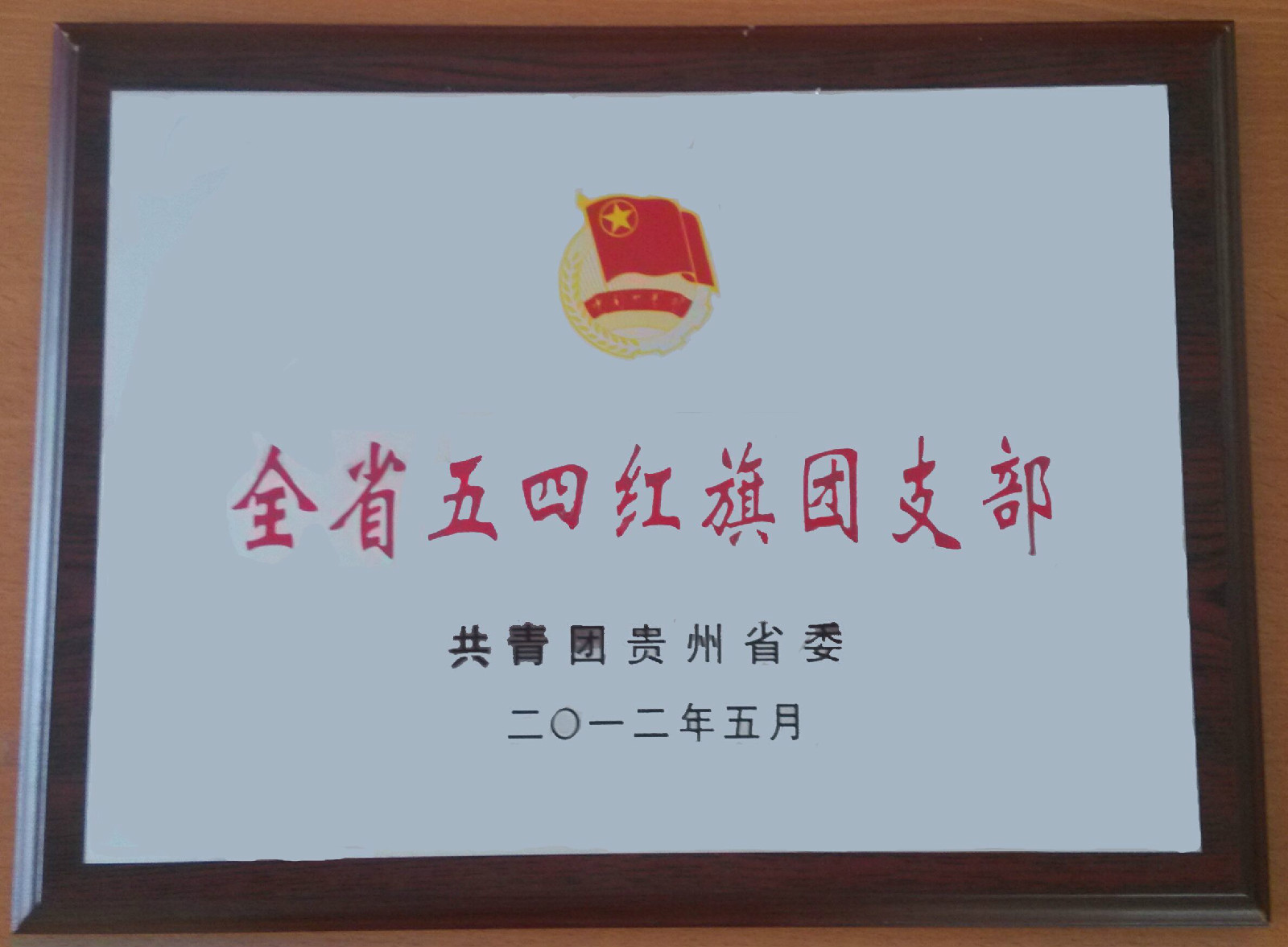 贵阳学院志愿者指导中心的成立不仅标志着该院志愿者工作受到党委