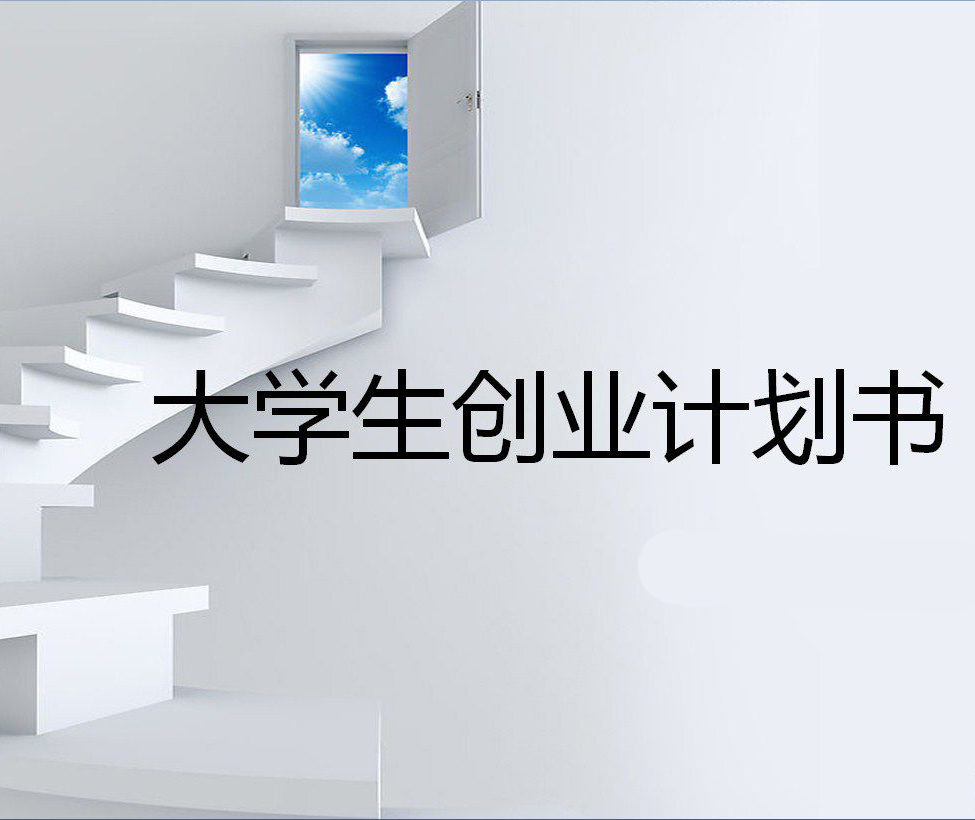 大学生创业书