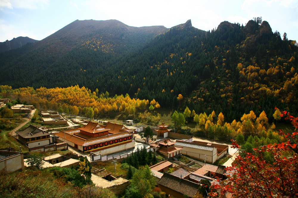 data-lemmaid="19428913">青海省 /a>海东市互助土族自治县威远镇境内