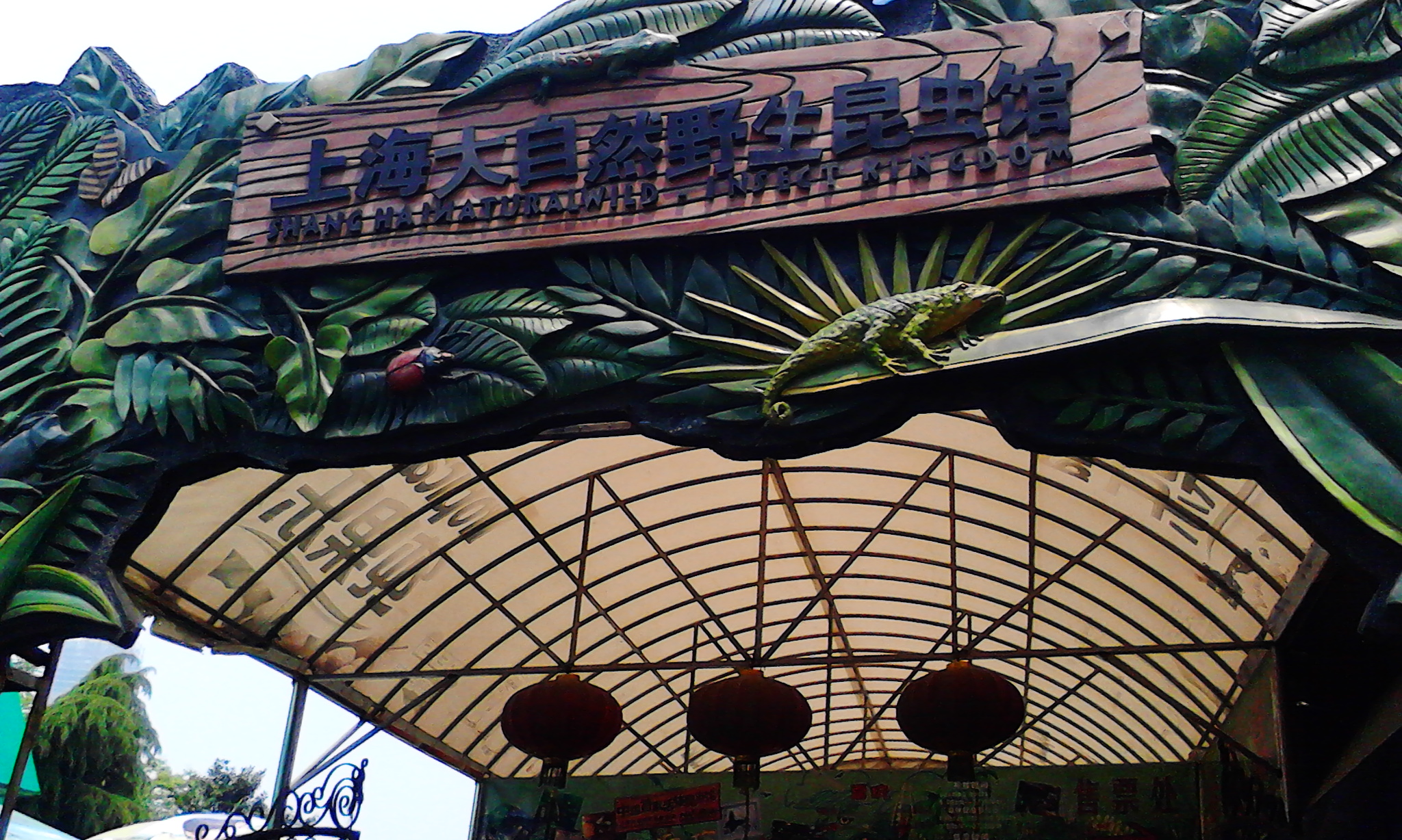 上海自然野生昆虫馆