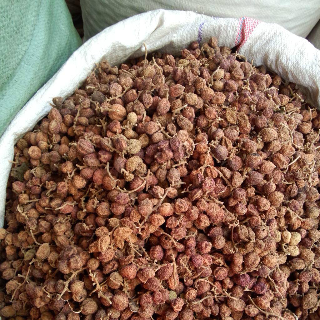  p>红壳砂仁,姜科豆蔻属草本植物,高约2米,为我国独有,生长于竹林中