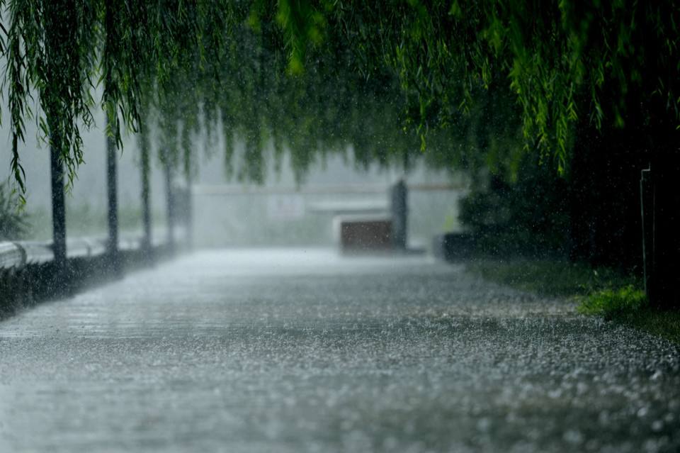  p>阵雨(showers),降自积雨云中,就是雨时 a target="_blank" href="