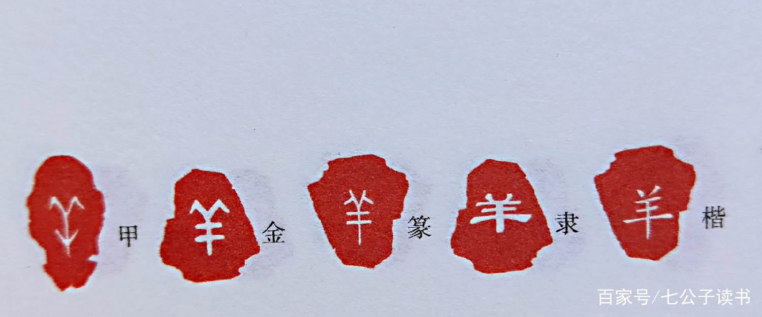 汉字演变：四个羊是什么字，“鲜”是什么意思，你知道吗？_百科TA说