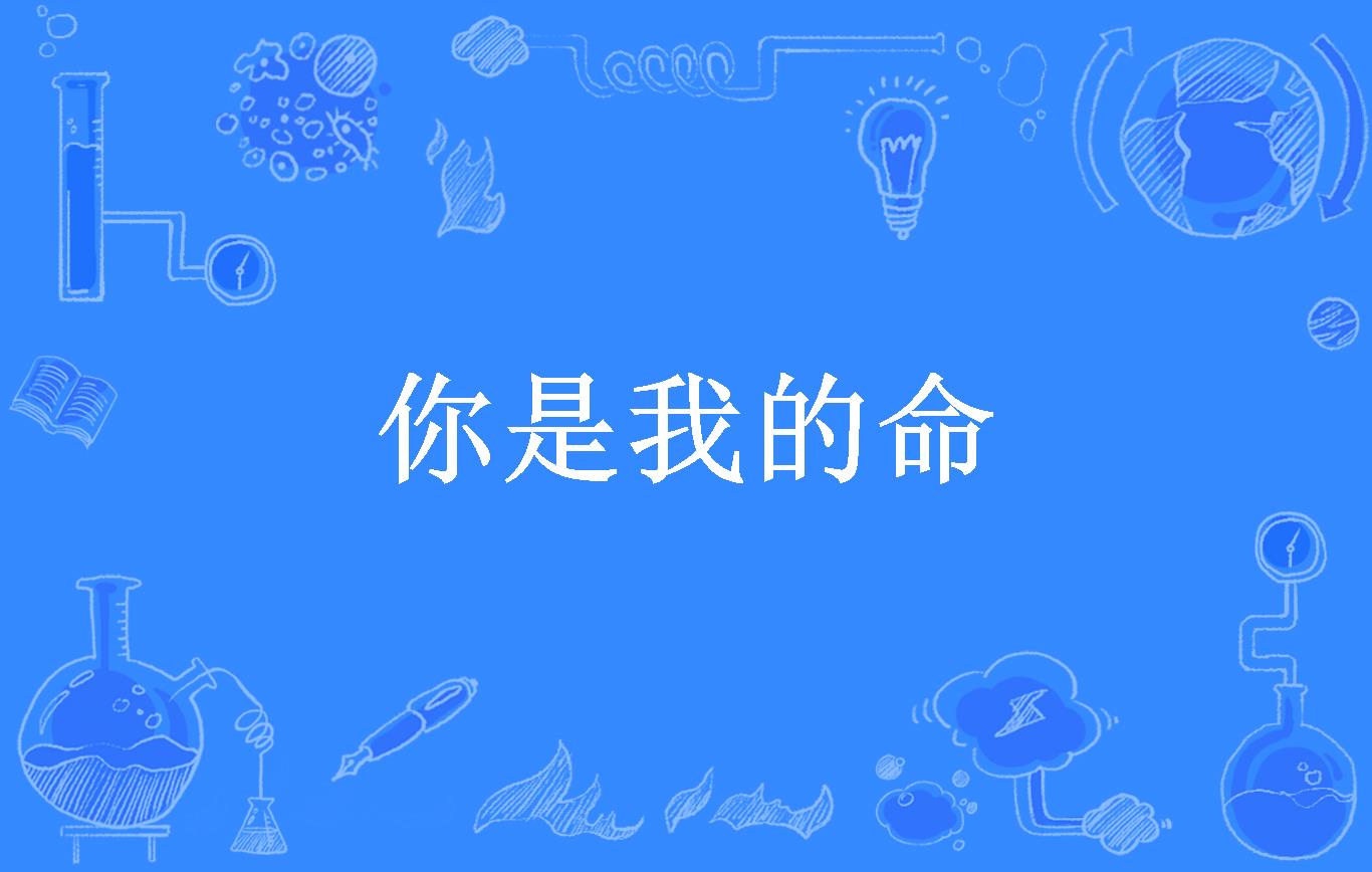 你是我的命