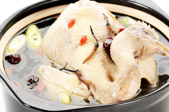 冬虫夏草童子鸡汤