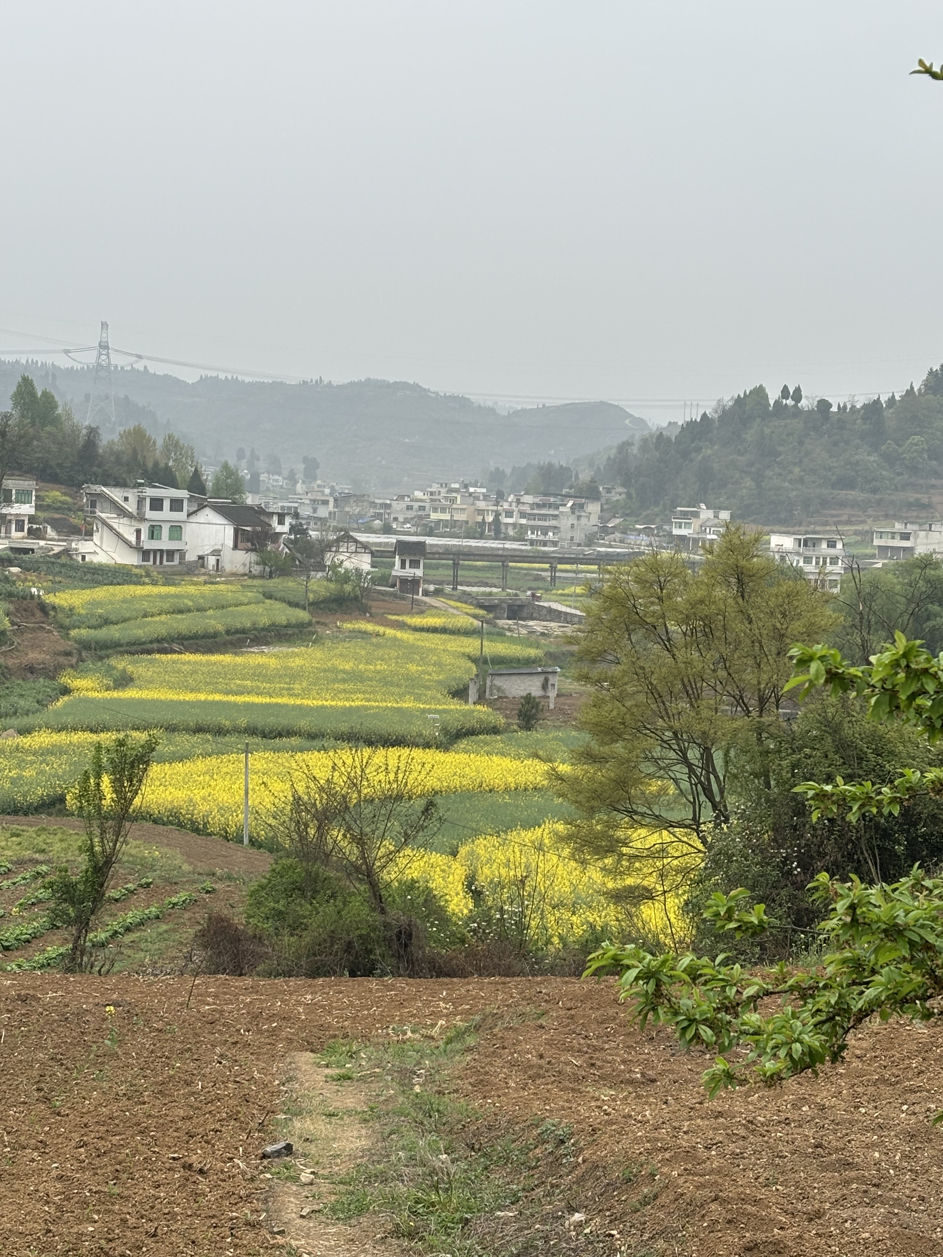 从城区运煤大道起沿逢水河至距城14公里的附廓水库,涉及城关镇凉井村