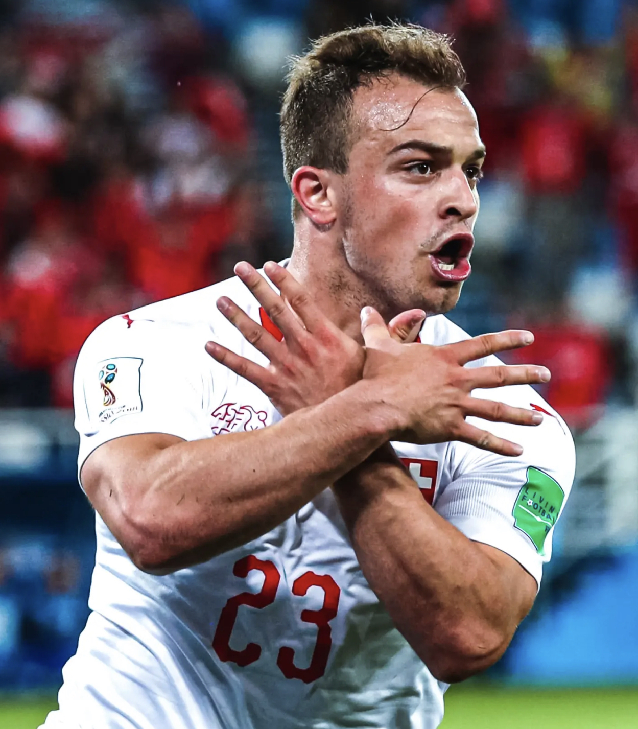  p>谢尔丹·沙奇里(xherdan shaqiri),1991年10月10日出生于科索沃