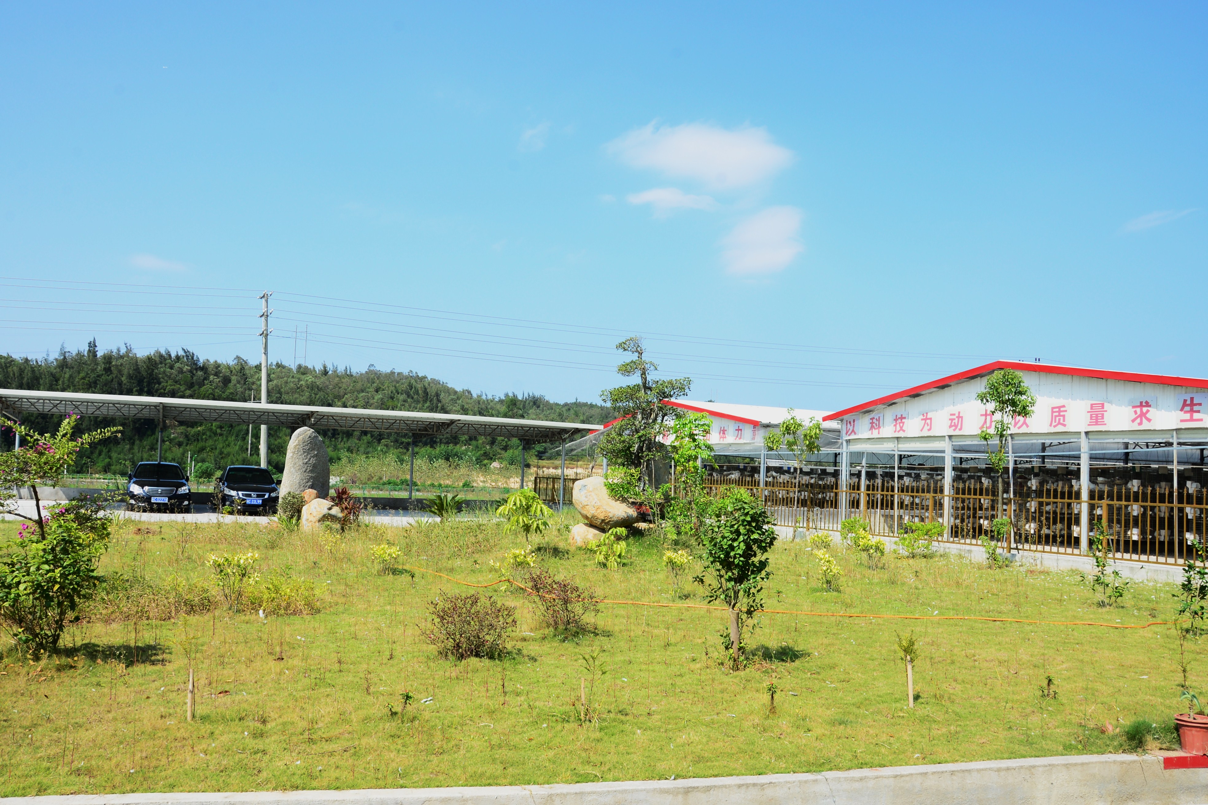  p>福建集盛鸽业发展有限公司成立于2012年,总部位于中国福建省泉州市