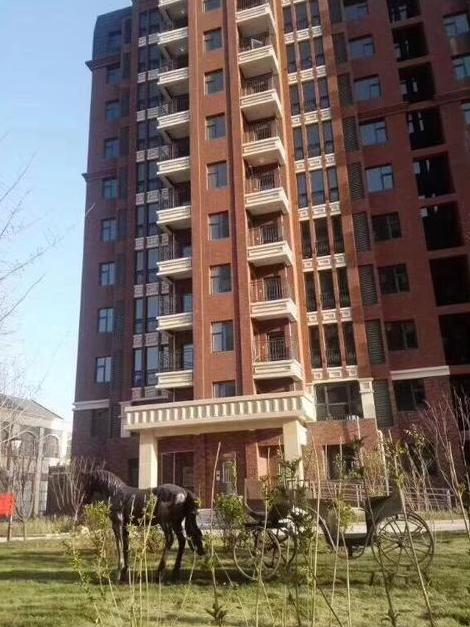 荣仕名门位于石家庄元氏县元氏县,共计房屋509户.