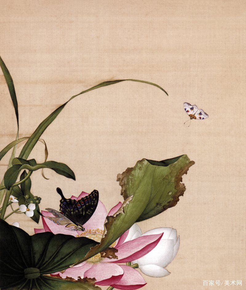 意大利画家郎世宁的花鸟图册，看着真养眼_百科TA说