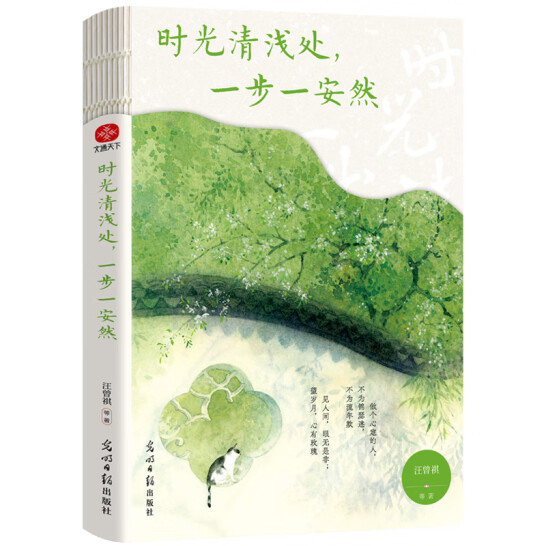什么叫时光清浅(时光清浅前一句)