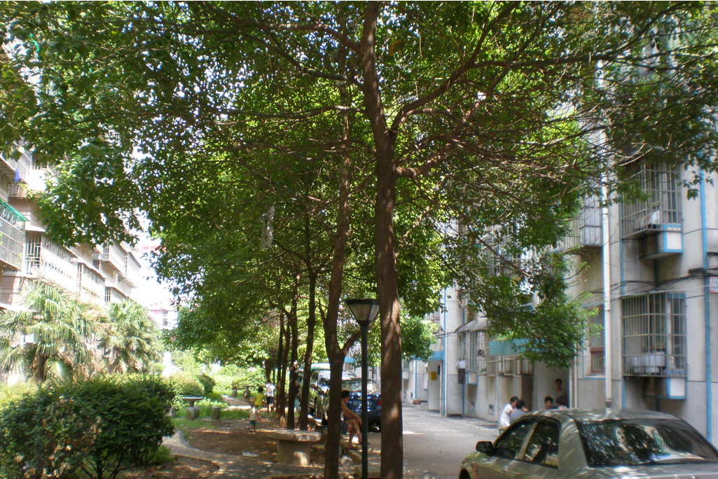 市特警巡警支队宿舍荷花园小区