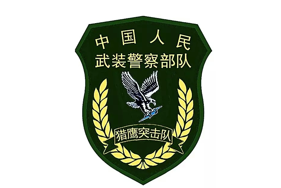 猎鹰突击队