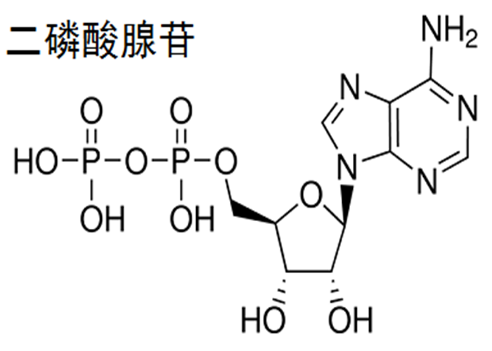5-二磷酸腺苷