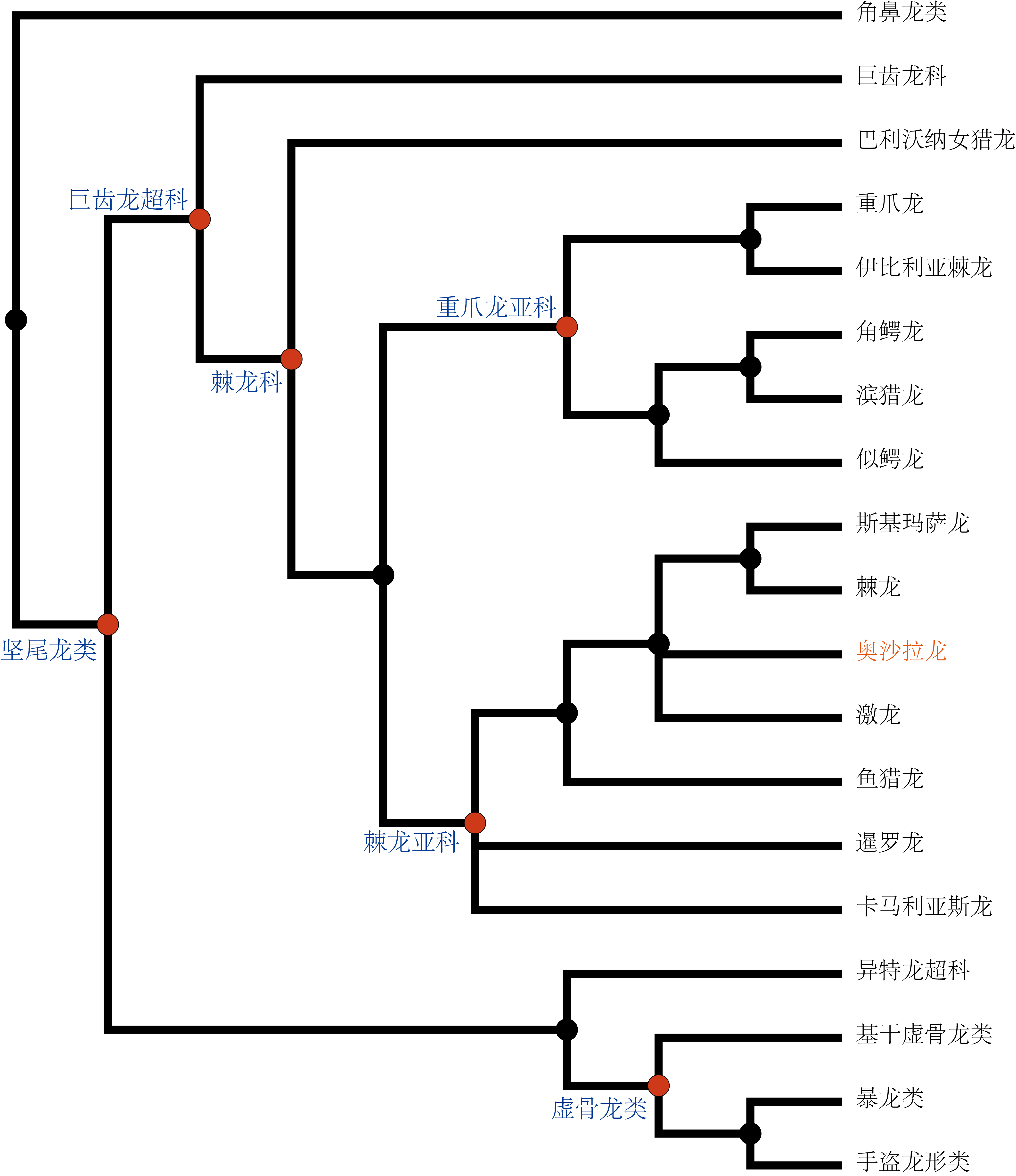  p data-id="gnwy9q6svg">奥沙拉龙是一种发现于巴西的大型棘龙类
