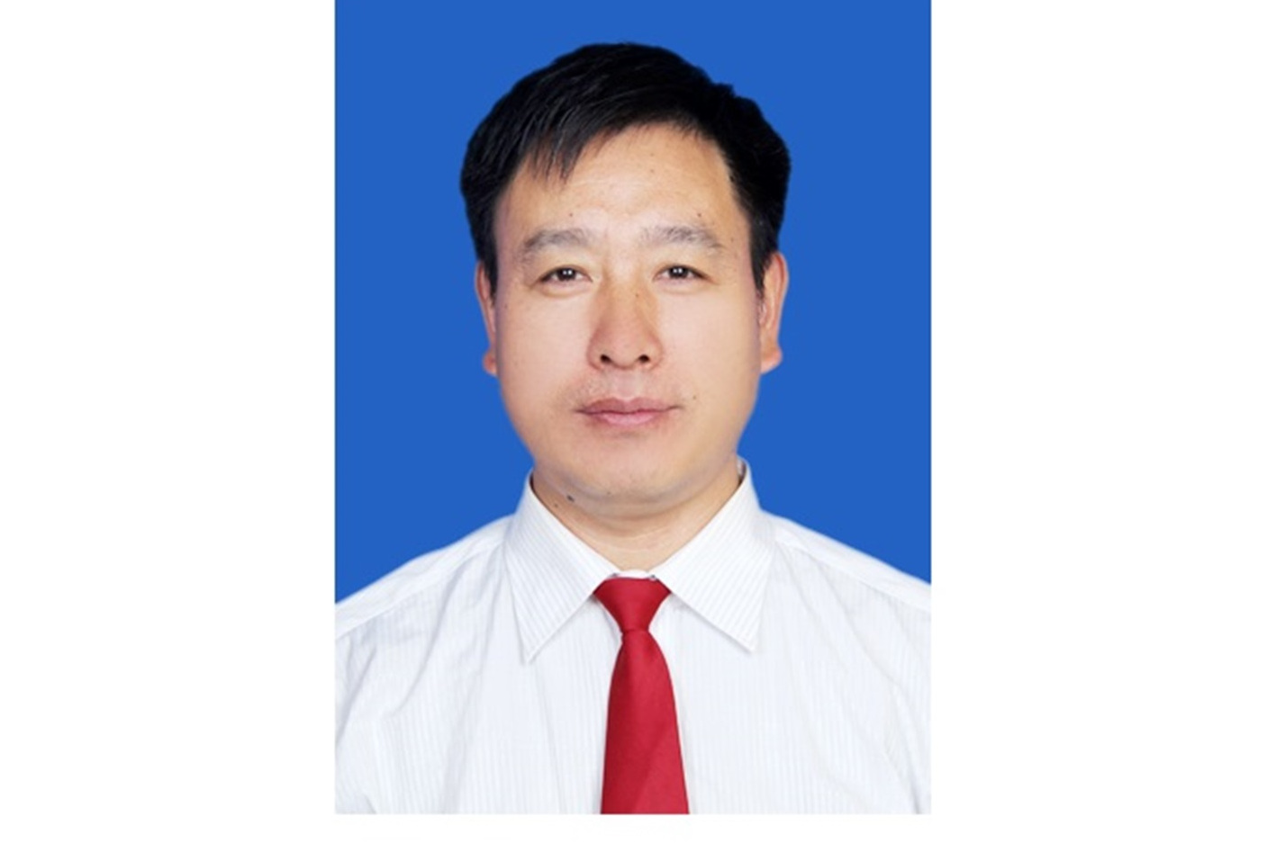中国电建陈波(中国电建陈波个人资料)