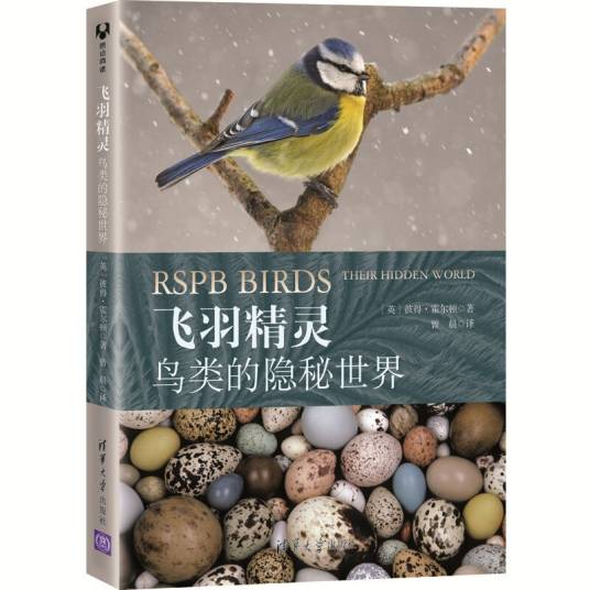 飞羽精灵_百度百科