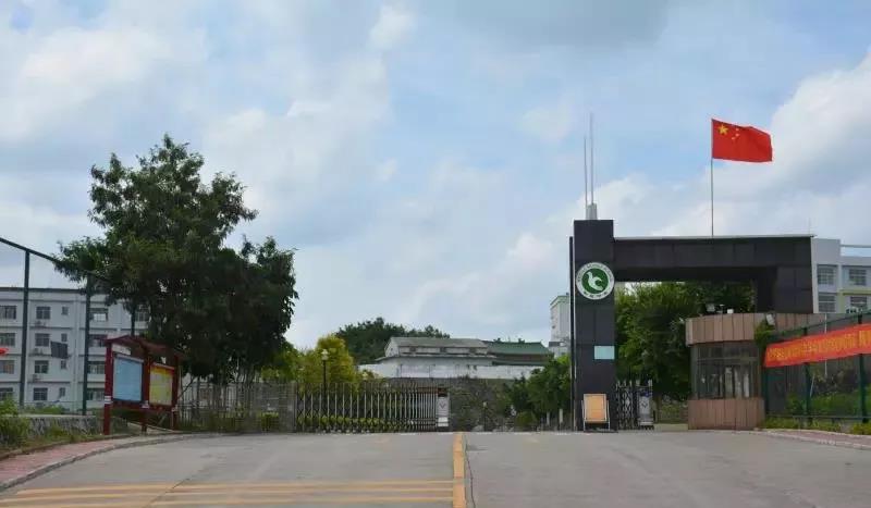 和平县和平中学