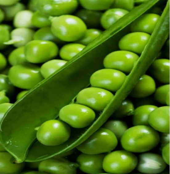 青豌豆 穿越时间长河的绝味小清新 百科ta说