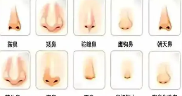  p data-id="gnvjnh78vj">鼻型(nasal form)是
